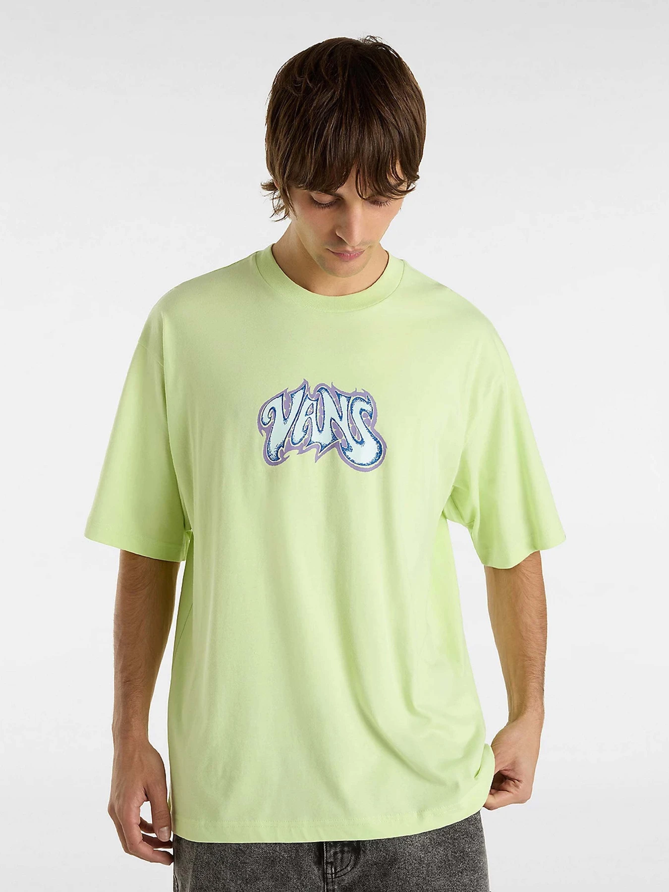 Футболки и поло Vans Hissterik модель VN000M5JCLH1 Футболки и поло Vans Hissterik модель VN000M5JCLH1 Фото