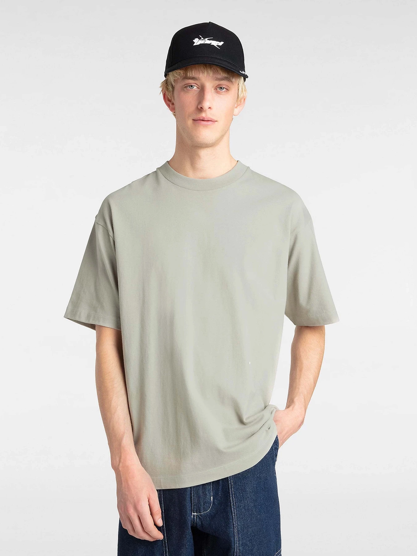 Футболки и поло Vans Premium модель VN000P54ZUJ1 Футболки и поло Vans Premium модель VN000P54ZUJ1 Фото