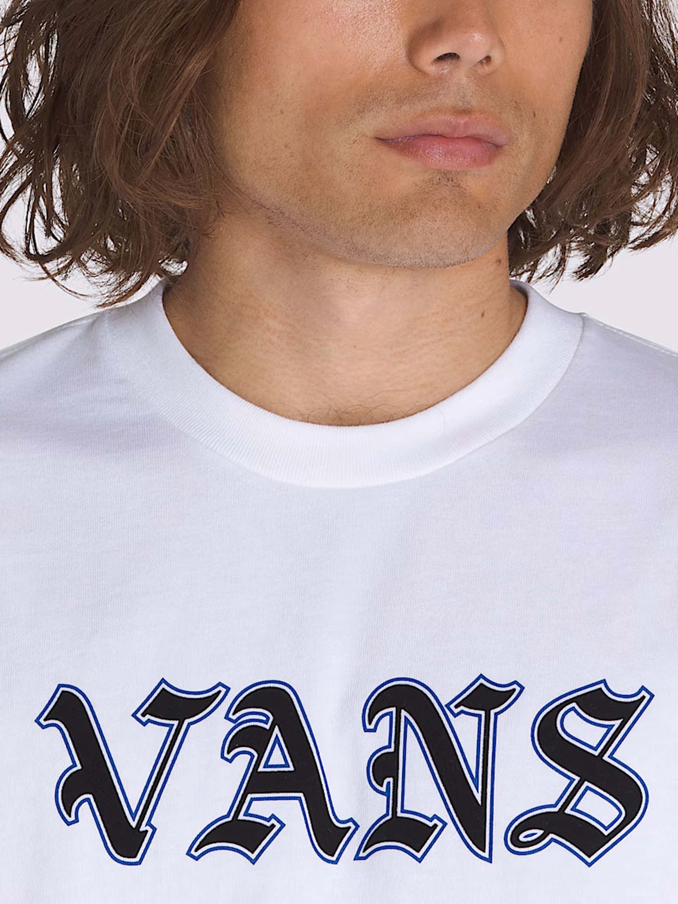 Футболки и поло Vans Premium Ye Olde модель VN000M62WHT1 Фото