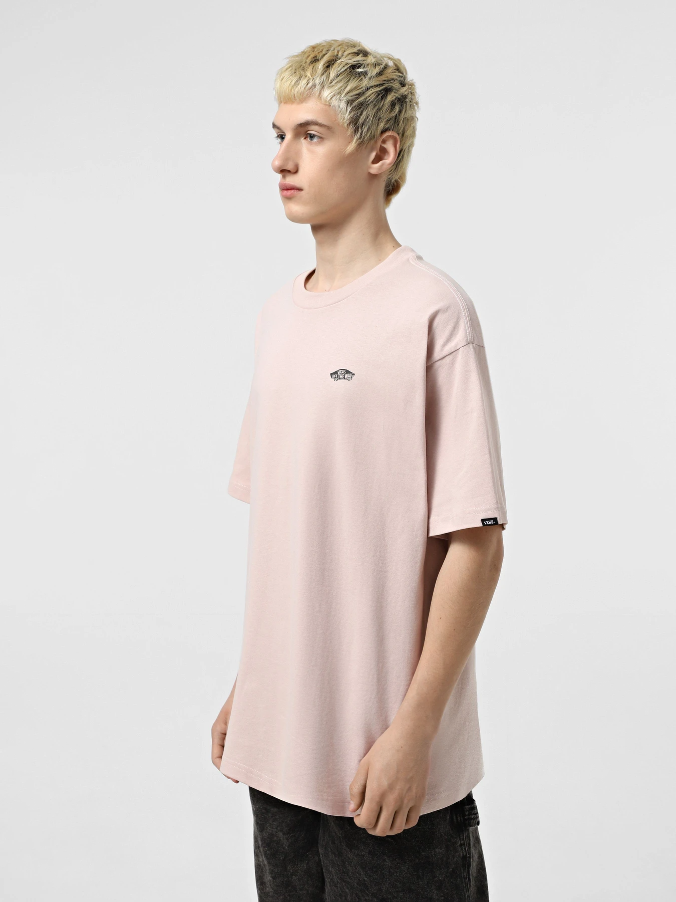 Футболки и поло Vans Style 76 Ii Loose модель VN000P50O3N1 Футболки и поло Vans Style 76 Ii Loose модель VN000P50O3N1 Фото