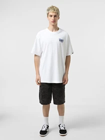 Футболки и поло Vans Z Legacy Loose модель VN000NWNWHT1 Фото