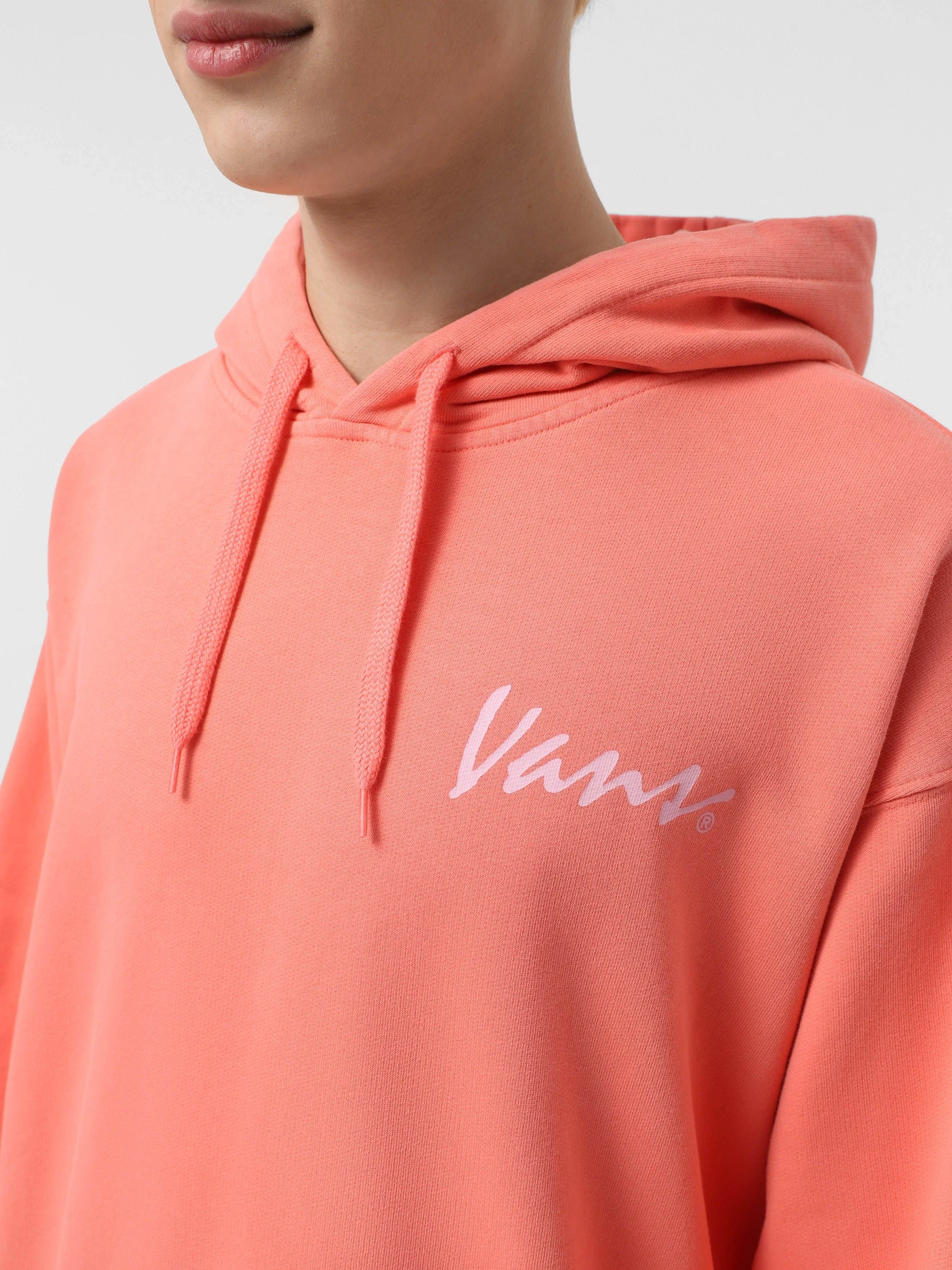 Худі та світшоти Vans 66 Baked In Loose Ft Po модель VN000NU1D6Z1 Фото
