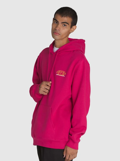 Худі та світшоти Vans Major Type модель VN000M1PC9L1 Фото