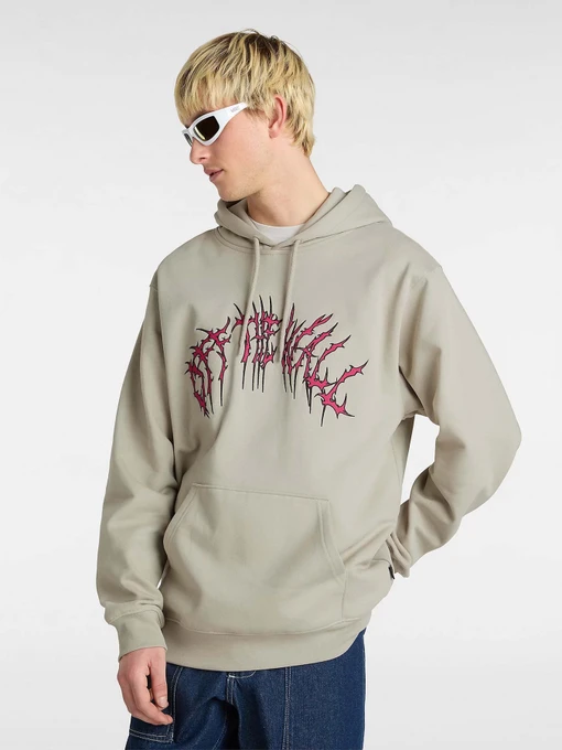 Худі та світшоти Vans Metal Arch модель VN000M1NZUJ1 Фото
