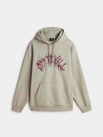 Худі та світшоти Vans Metal Arch модель VN000M1NZUJ1 Фото