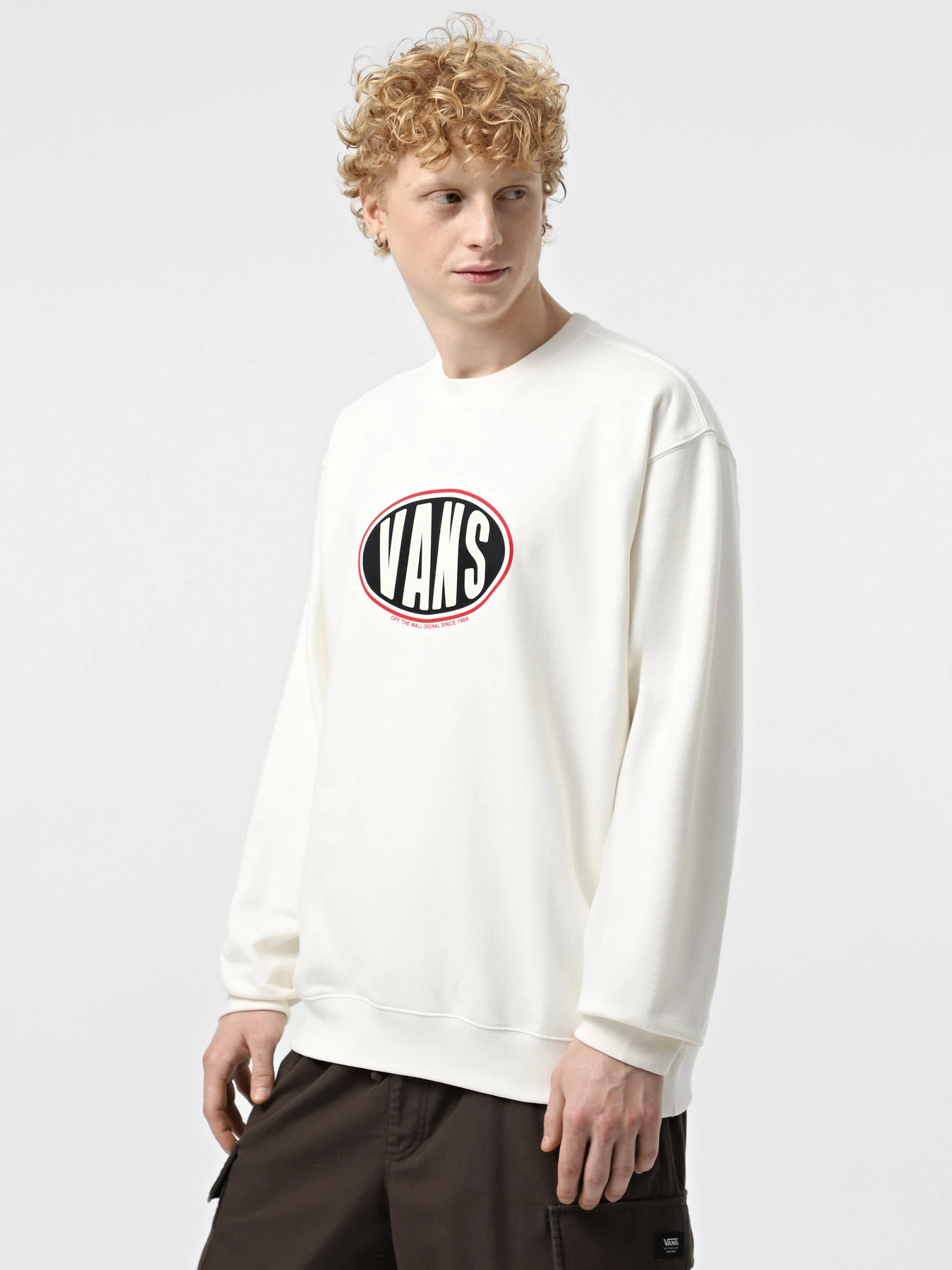 Худи и свитшоты Vans Spray On Loose Crew модель VN000HPQFS81 Фото