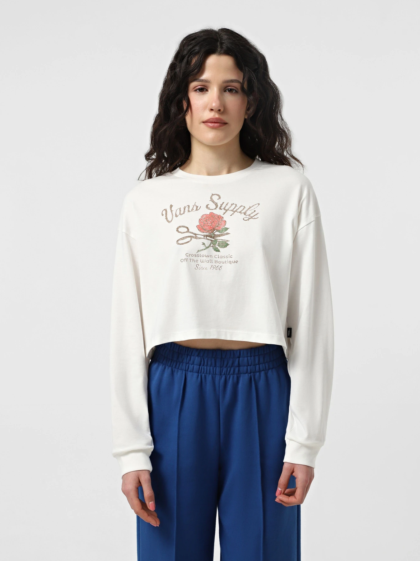 Худі та світшоти Vans Supply Boutique LS Relax Crop модель VN000MDCFS81 Фото