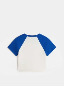 Футболки и поло Vans Clare Raglan модель VN000M96UR21 Фото