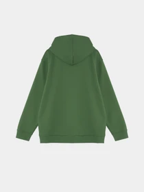 Худі та світшоти Vans Freeze Loose модель VN000MH6BR11 Фото