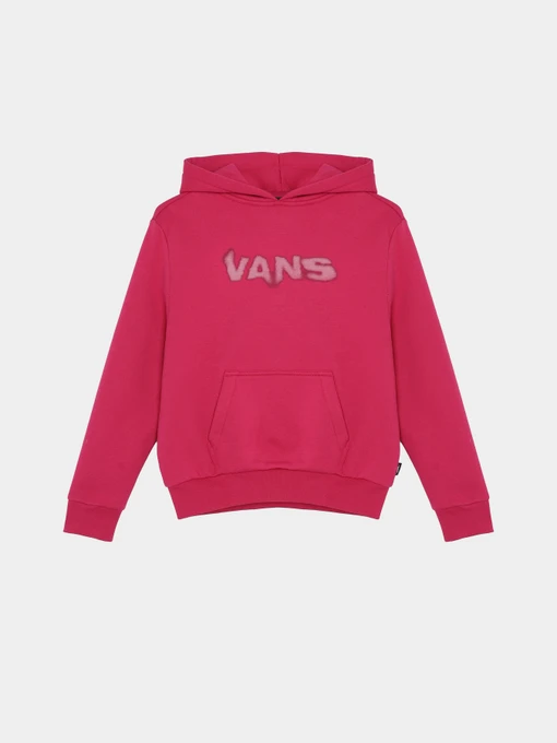 Худі та світшоти Vans Blur модель VN000M8MC9L1 Фото
