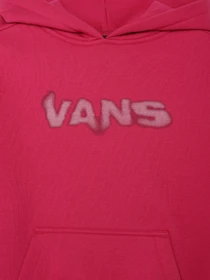 Худи и свитшоты Vans Blur модель VN000M8MC9L1 Фото