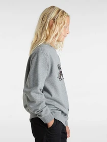 Худі та світшоти Vans Copout Loose Crew модель VN000MJ302F1 Фото