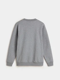Худі та світшоти Vans Copout Loose Crew модель VN000MJ302F1 Фото