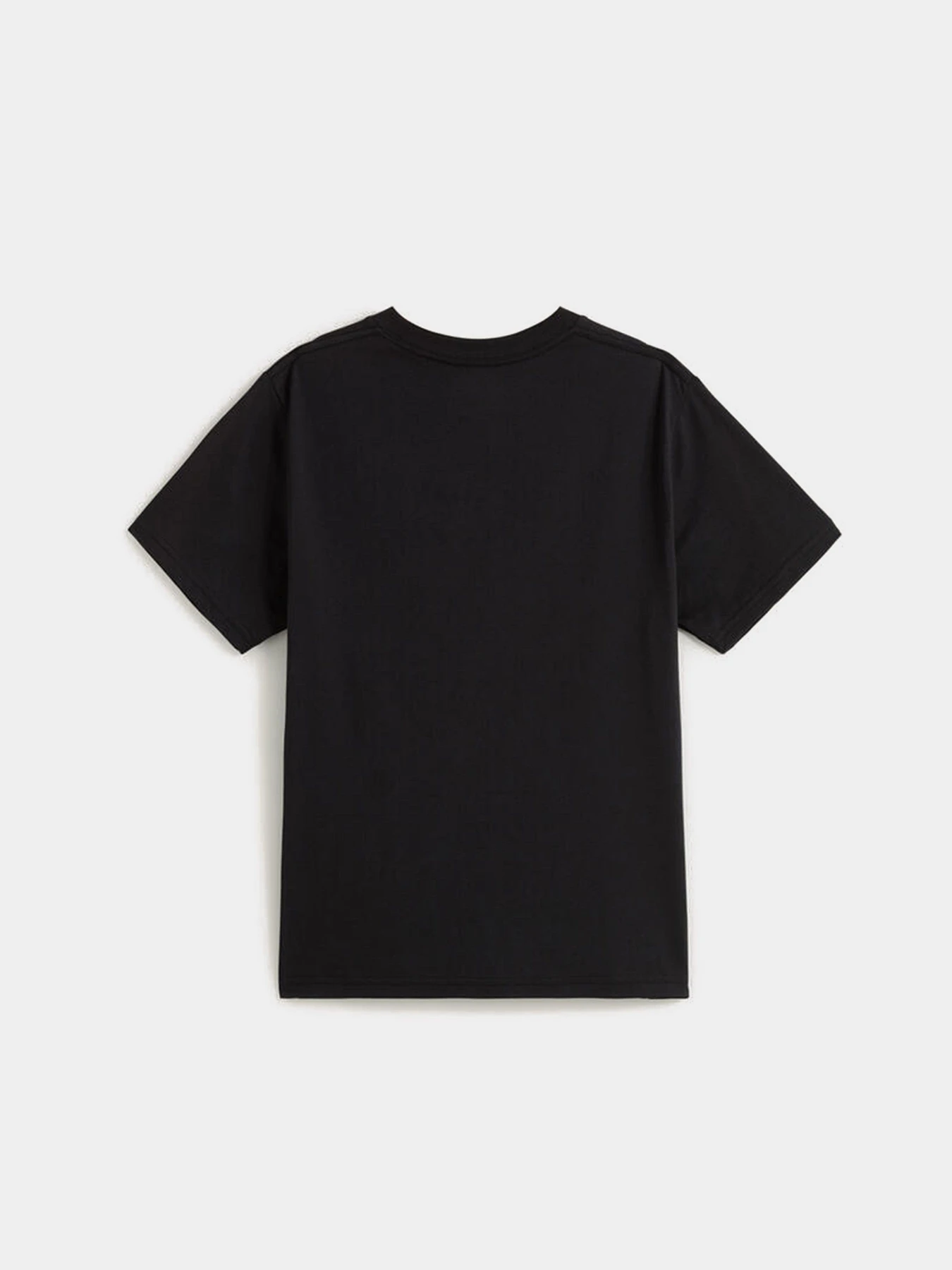 Футболки і поло Vans Cactus Wire модель VN000PXTBLK1 Футболки і поло Vans Cactus Wire модель VN000PXTBLK1 Фото