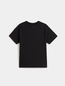 Футболки і поло Vans Cactus Wire модель VN000PXTBLK1 Фото
