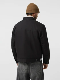 Куртки и дубленки Vans Raw Instinct модель VN000R8XBLK1 Фото