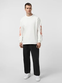 Худи и свитшоты Vans Raw Instinct модель VN000R96FS81 Фото