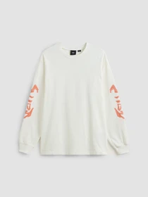 Худи и свитшоты Vans Raw Instinct модель VN000R96FS81 Фото