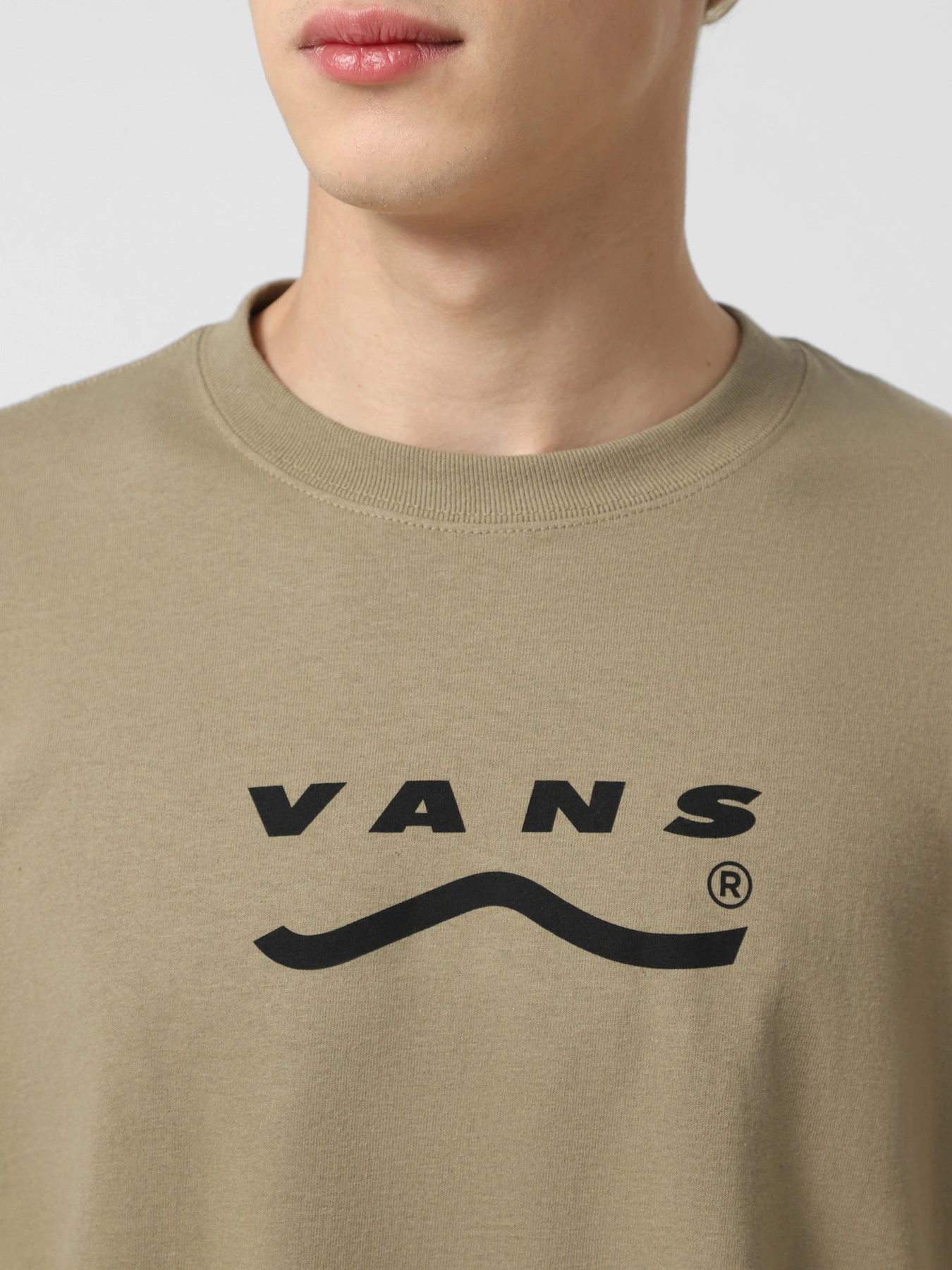 Футболки и поло Vans Determined модель VN000PEYF0D1 Футболки и поло Vans Determined модель VN000PEYF0D1 Фото