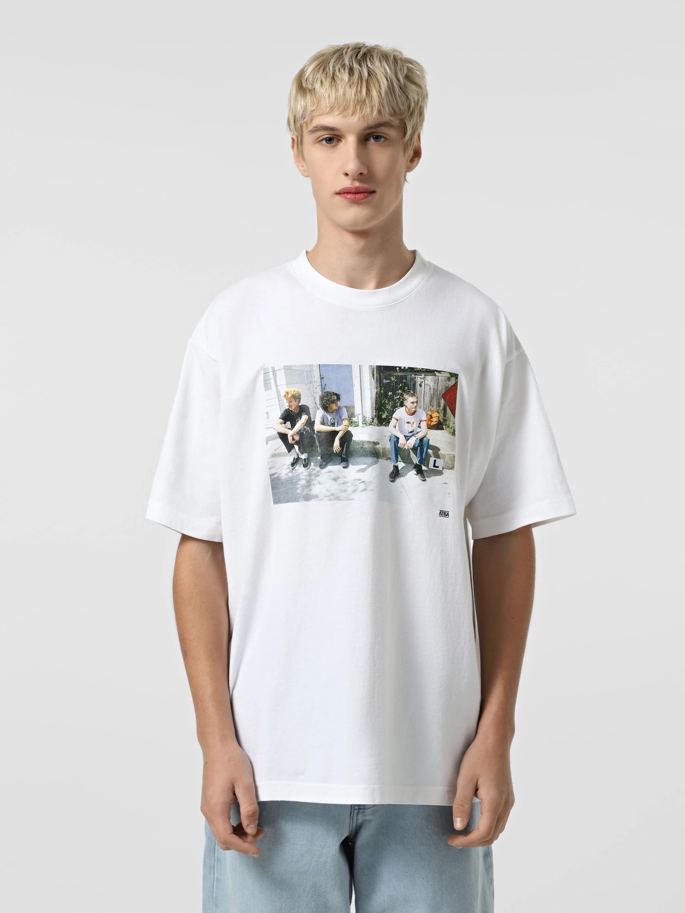 Футболки и поло Vans Skate Atiba Haze Curb Crew модель VN000QJPWHT1 Фото