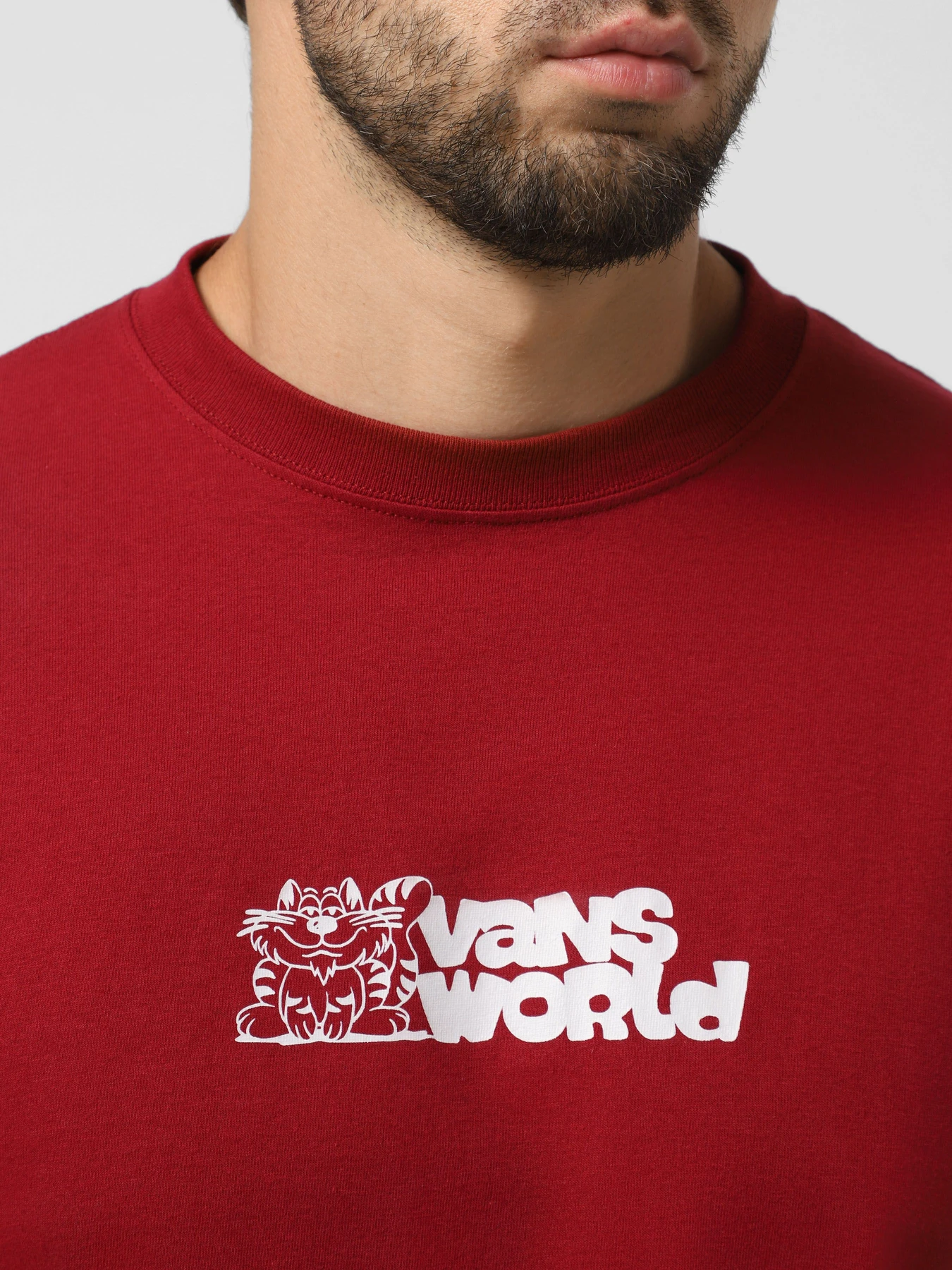 Футболки и поло Vans World модель VN000PBSBRD1 Футболки и поло Vans World модель VN000PBSBRD1 Фото