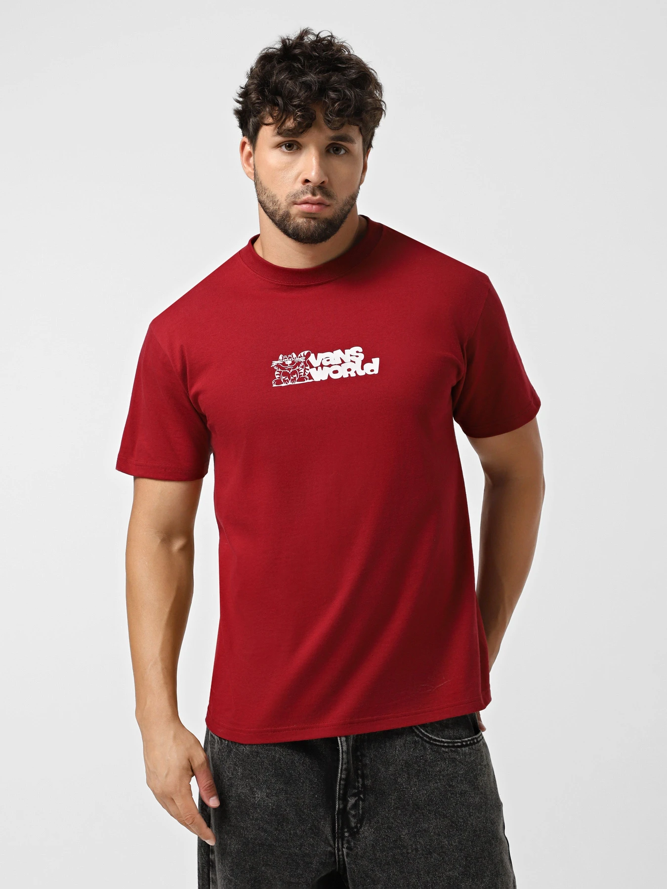 Футболки и поло Vans World модель VN000PBSBRD1 Футболки и поло Vans World модель VN000PBSBRD1 Фото