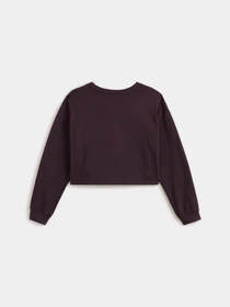 Худи и свитшоты Vans модель VN000REGEMS1 Фото