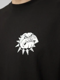 Футболки и поло Vans BULLY SS TEE модель VN000XHRBLK1 Фото