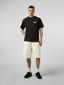 Футболки і поло Vans DOUBLE STANDARD SS TEE модель VN000SYDY281 Фото