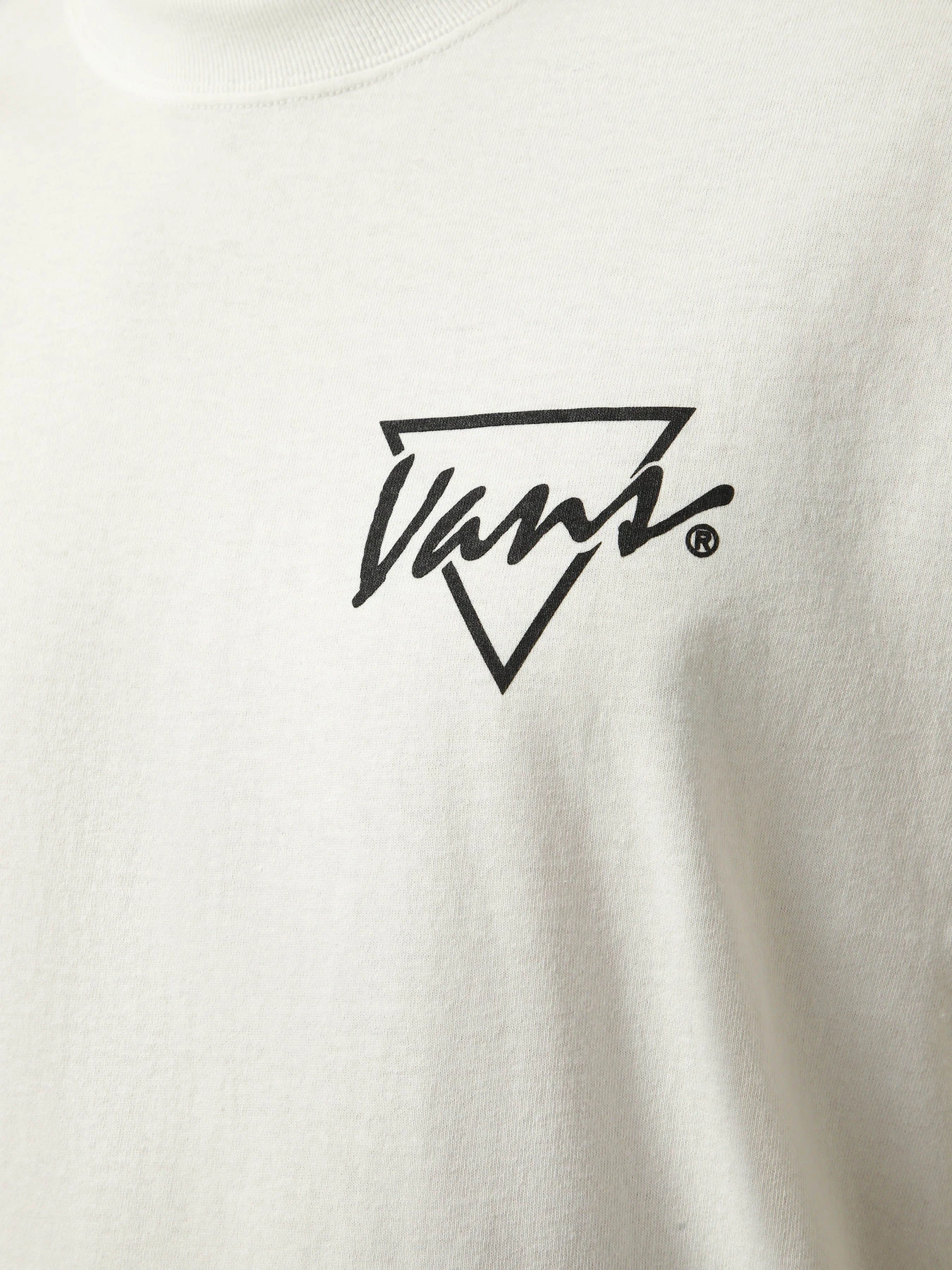 Футболки і поло Vans PALM DRIVE SS TEE модель VN000SXEWHT1 Фото