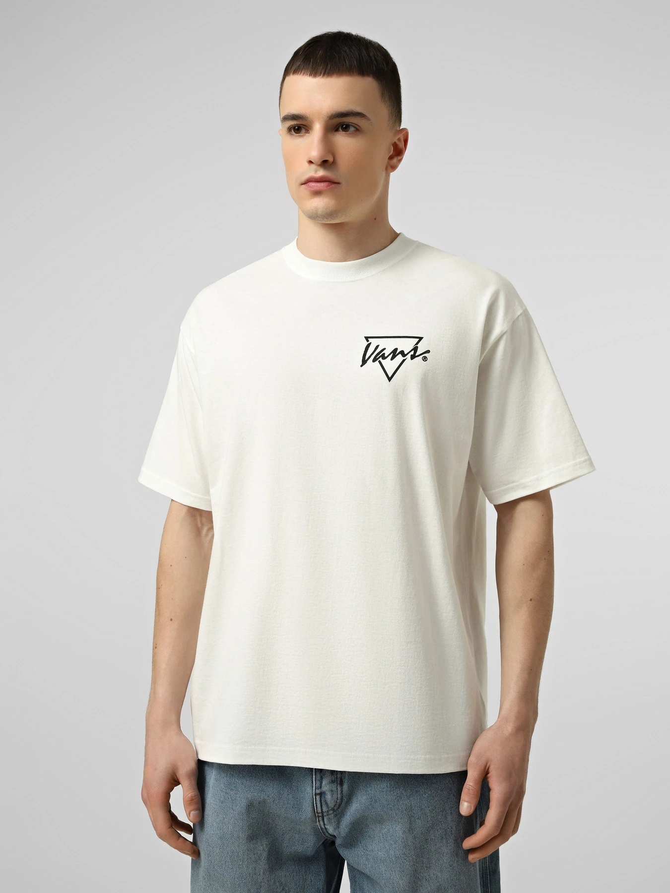 Футболки і поло Vans PALM DRIVE SS TEE модель VN000SXEWHT1 Фото