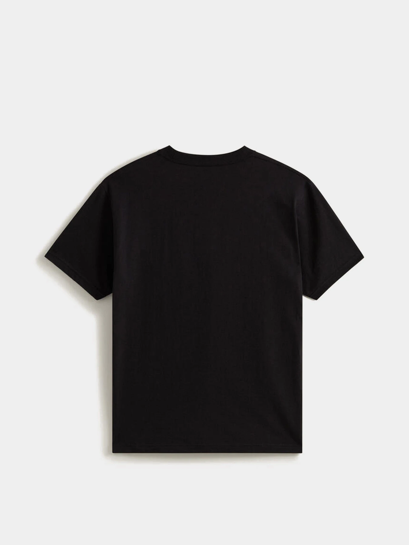 Футболки і поло Vans STRETCH LOGO SS TEE модель VN000SWDY281 Фото