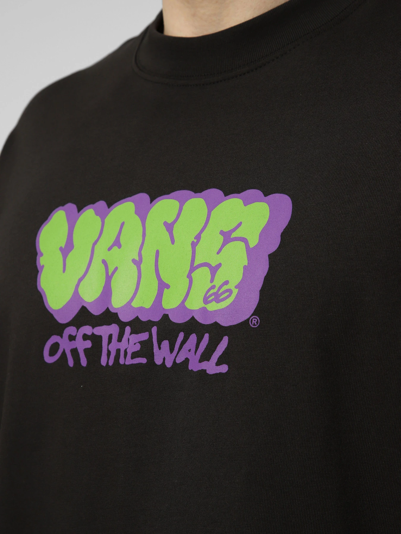 Футболки і поло Vans VANS GRAFF LOOSE SS TEE модель VN000VYBBLK1 Футболки і поло Vans VANS GRAFF LOOSE SS TEE модель VN000VYBBLK1 Фото