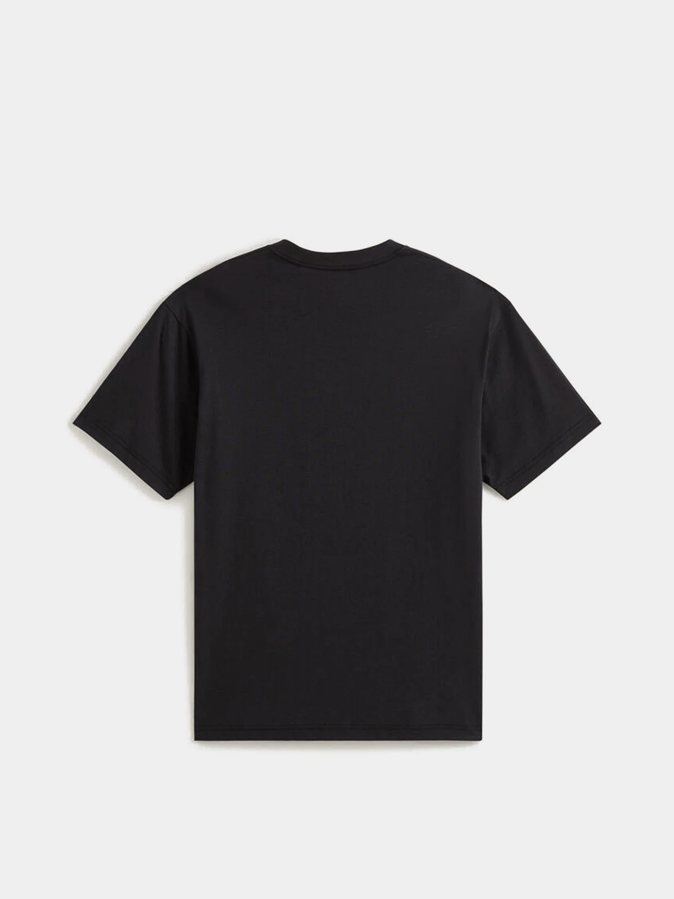 Футболки і поло Vans VANS GRAFF LOOSE SS TEE модель VN000VYBBLK1 Футболки і поло Vans VANS GRAFF LOOSE SS TEE модель VN000VYBBLK1 Фото
