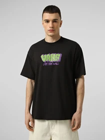 Футболки і поло Vans VANS GRAFF LOOSE SS TEE модель VN000VYBBLK1 Фото