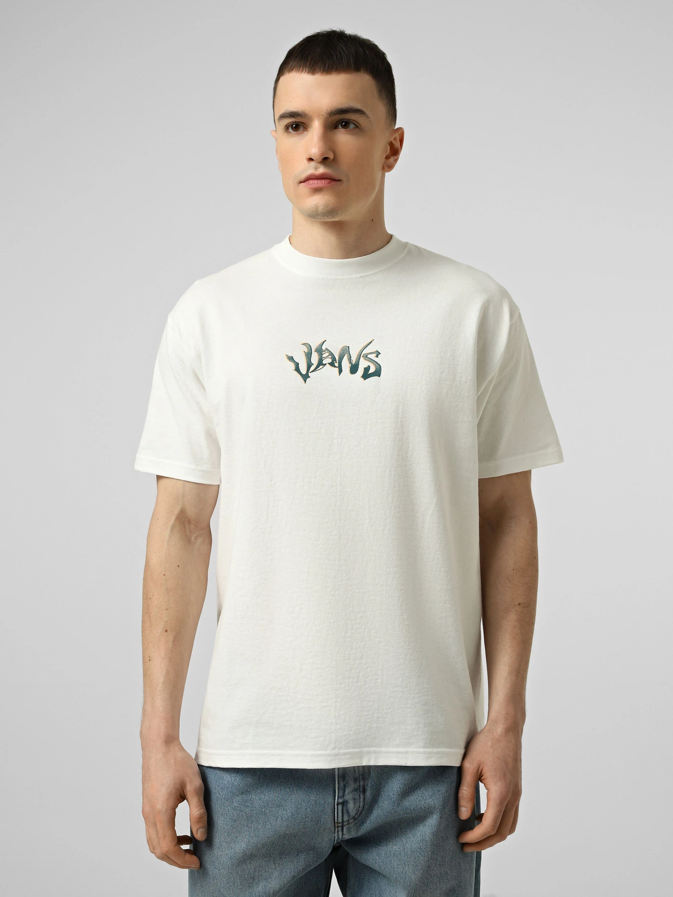 Футболки и поло Vans WILD CIRCLE SS TEE модель VN000SY0WHT1 Фото