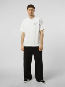 Футболки и поло Vans WORLD TOUR LOOSE SS TEE модель VN000VY8WHT1 Фото