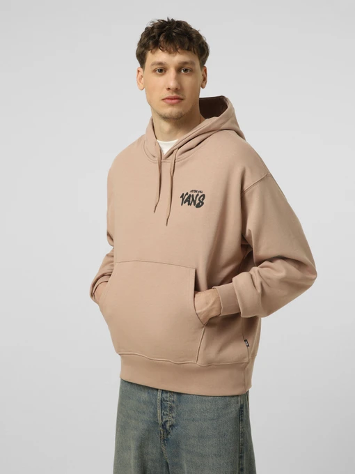 Худі та світшоти Vans REPEAR SAM LOOSE PO модель VN000VXEE2V1 Фото