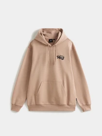 Худі та світшоти Vans REPEAR SAM LOOSE PO модель VN000VXEE2V1 Фото