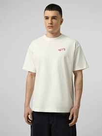Футболки і поло Vans LX FULL DECK SS TSHIRT модель VN000T6VC9F1 Фото