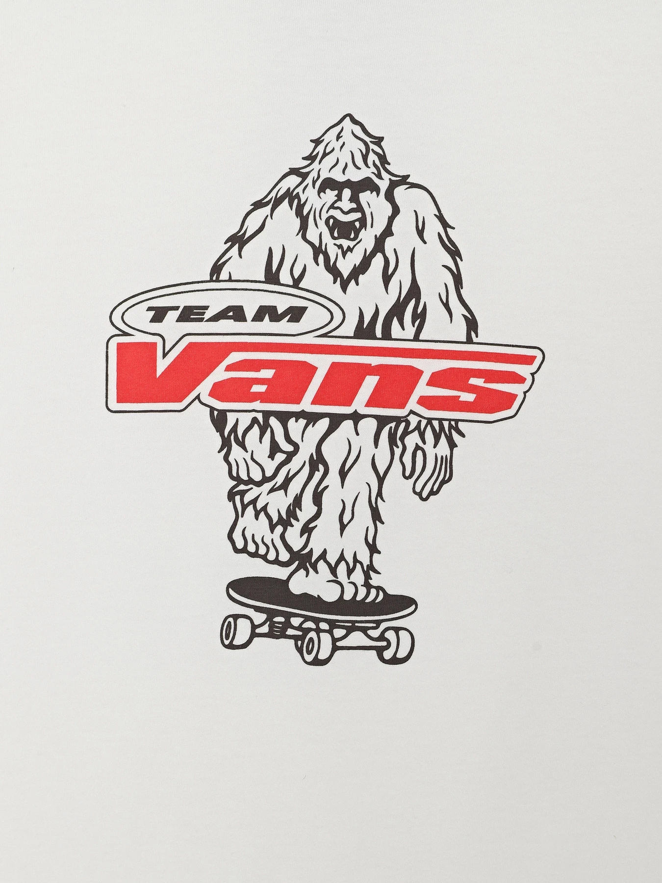 Футболки і поло Vans BIG PUSH SS модель VN000TBBWHT1 Фото