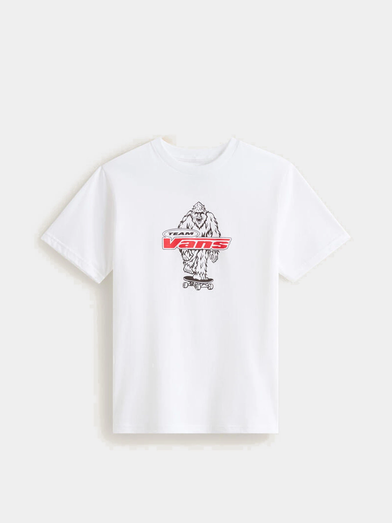 Футболки і поло Vans BIG PUSH SS модель VN000TBBWHT1 Фото