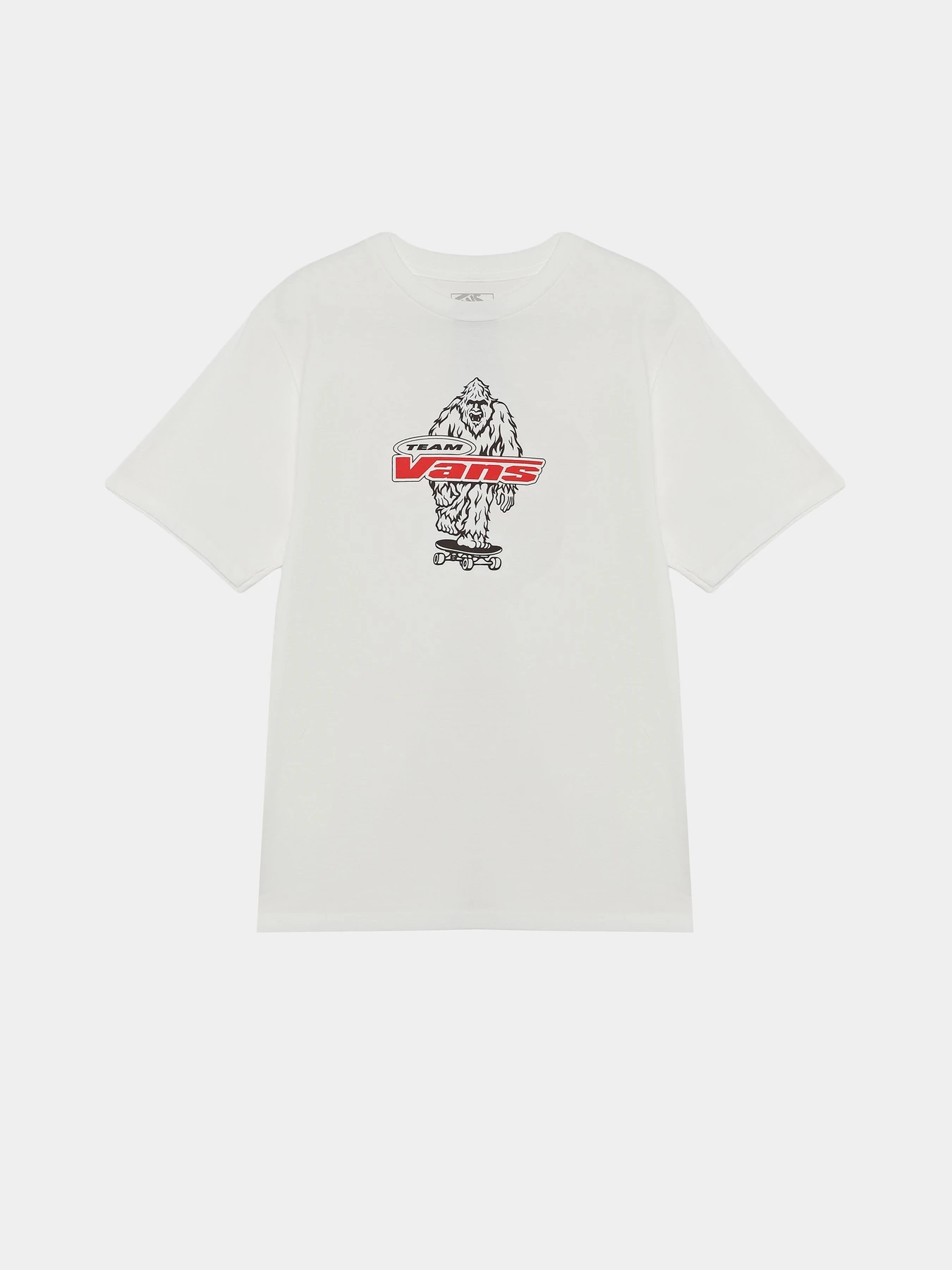 Футболки і поло Vans BIG PUSH SS модель VN000TBBWHT1 Фото