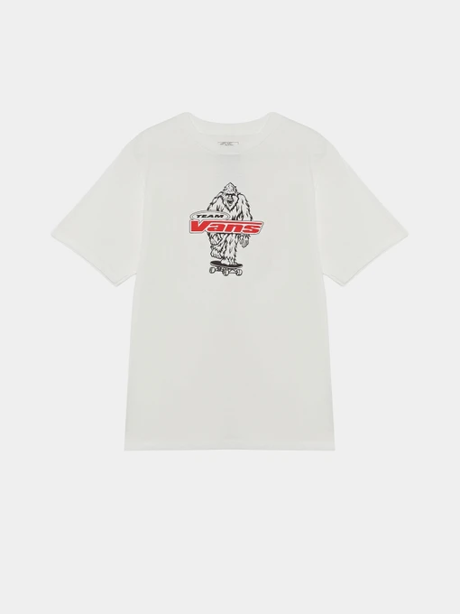 Футболки и поло Vans BIG PUSH SS модель VN000TBBWHT1 Фото