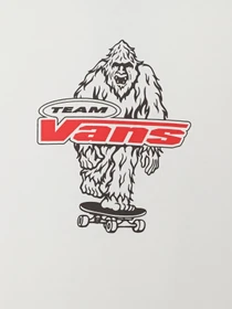 Футболки і поло Vans BIG PUSH SS модель VN000TBBWHT1 Фото