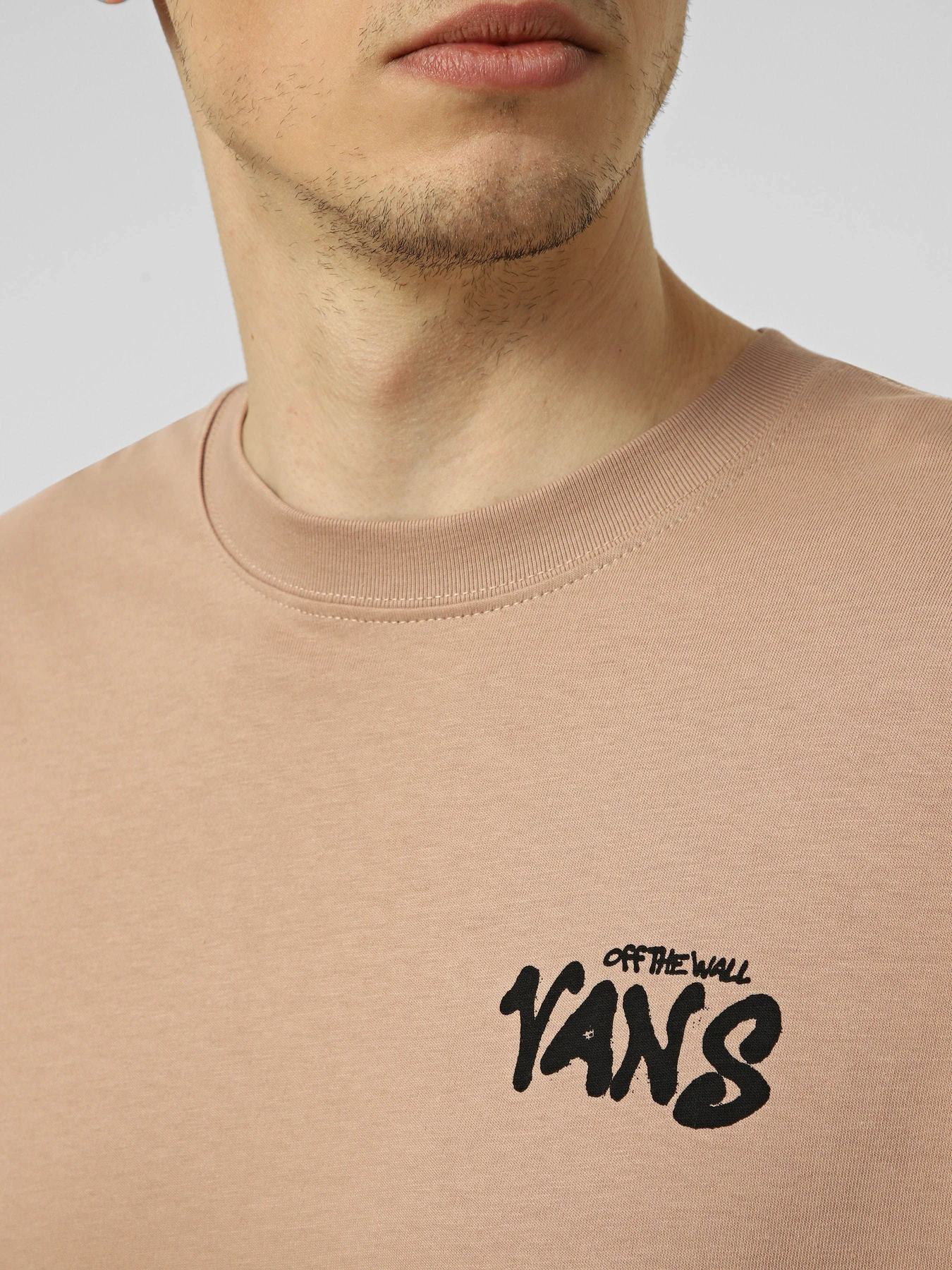 Футболки и поло Vans REPEAR SAM LOOSE SS TEE модель VN000VXDE2V1 Фото