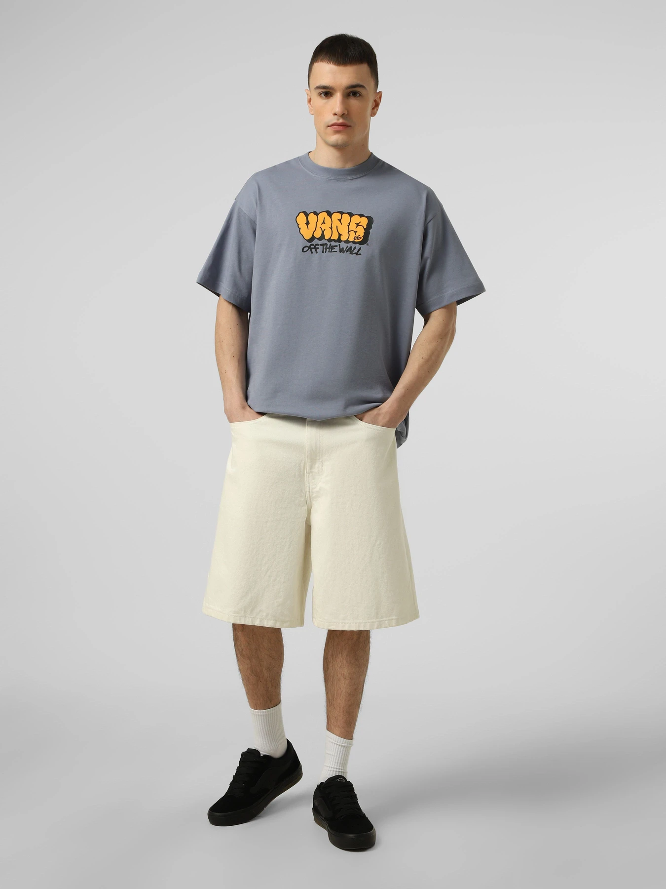 Футболки и поло Vans VANS GRAFF LOOSE SS TEE модель VN000VYBFOI1 Футболки и поло Vans VANS GRAFF LOOSE SS TEE модель VN000VYBFOI1 Фото