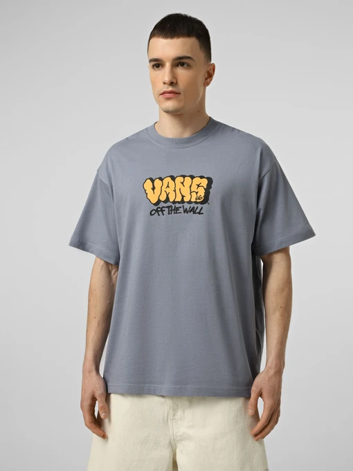 Футболки і поло Vans VANS GRAFF LOOSE SS TEE модель VN000VYBFOI1 Фото