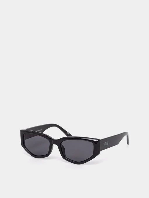 Очки Vans LEYDEN SUNGLASSES модель VN000T0CBLK1 Фото