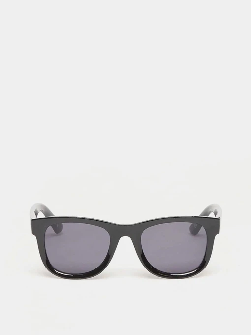 Очки Vans SPICOLI SUNGLASSES модель VN000T0EBLK1 Фото